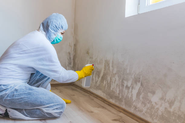 Licensed Crawl Space Mold Removal service in South Haven, MI - WQB Mold Removal