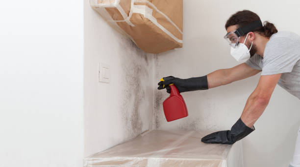 Professional Crawl Space Mold Removal technician working in South Haven, MI