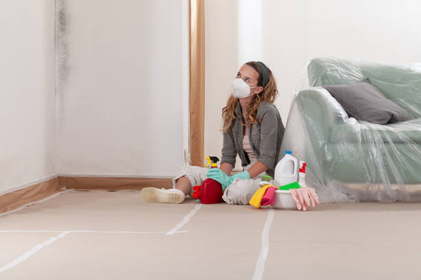 Reliable Crawl Space Mold Removal contractor in South Haven, MI by WQB Mold Removal